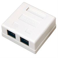 картинка WT-2015 Розетка компьютерная 2 порта RJ-45 cat.5e белая накладная от магазина Интерком-НН