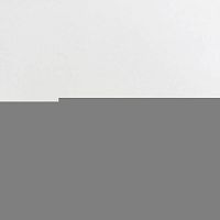 картинка Panasonic F62306S10XP Предохранитель на 8А для микроволновой печи от магазина Интерком-НН