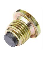 картинка Asam 80102 пробка резьбовая с магнитом масляного поддона двигателя для автомобиля Renault Logan  от магазина Интерком-НН