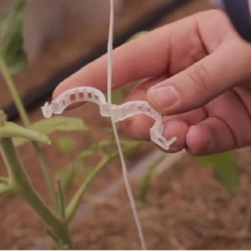 картинка Садовые клипсы (зажимы для фиксации) 25мм для подвязывания растений 50 шт от магазина Интерком-НН фото 3