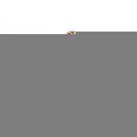 картинка Samsung AD97-16822A Объектив для фотоаппарата от магазина Интерком-НН