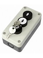 картинка Пост управления трехкнопочный BS3-LUD-SSS замок с ключом - вверх - вниз для подъемных механизмов от магазина Интерком-НН