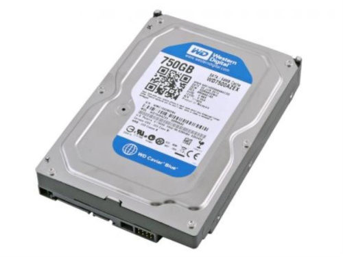 картинка Жесткий диск Western Digital 750 Gb 64 Mb SATA-III WD7500AZEX (blue) от магазина Интерком-НН